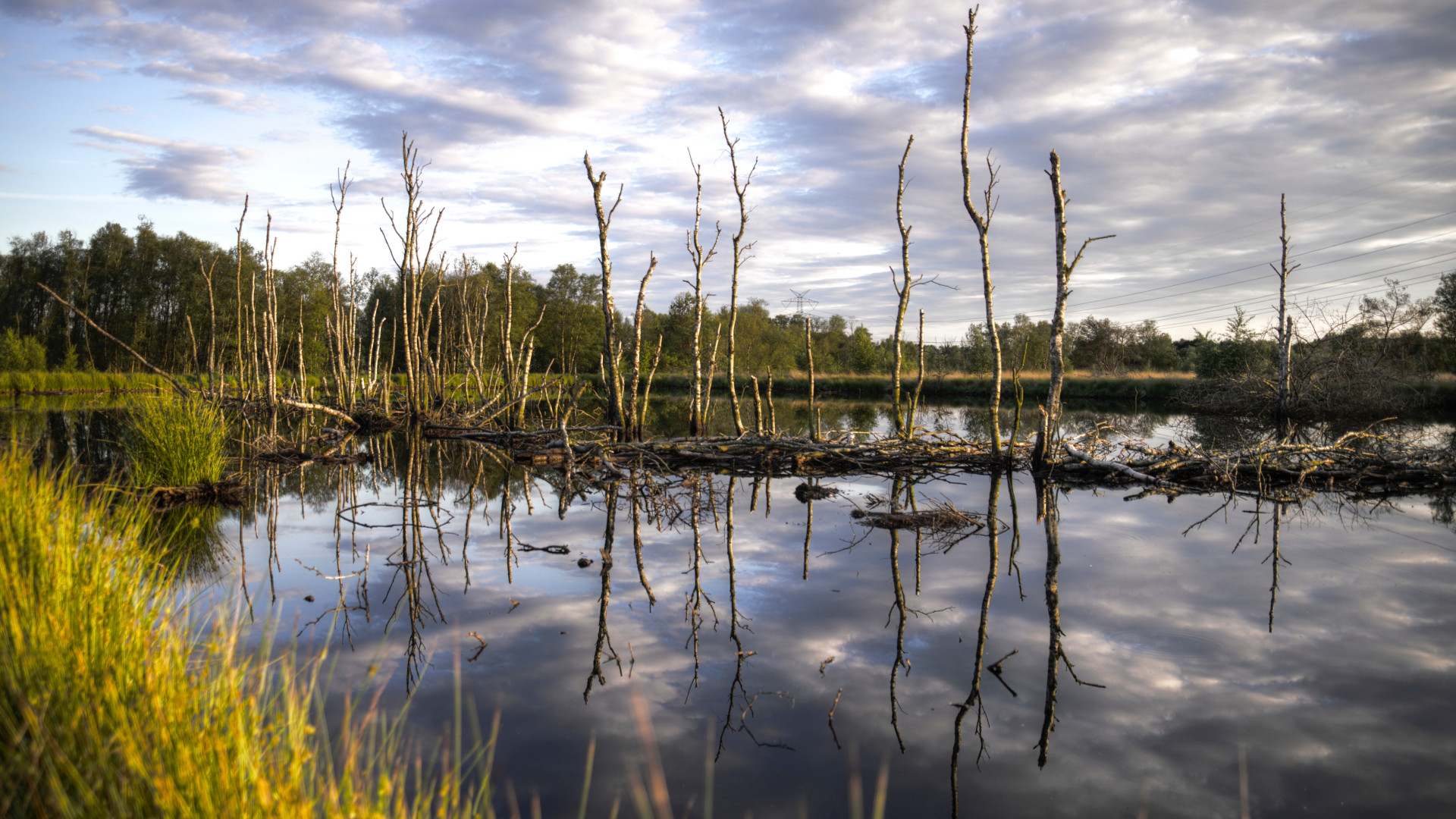 Ducks Unlimited Canada